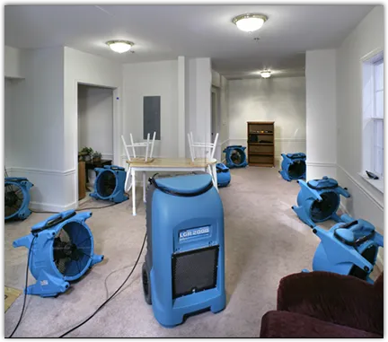 Water Damage Assessment in Polk, PA