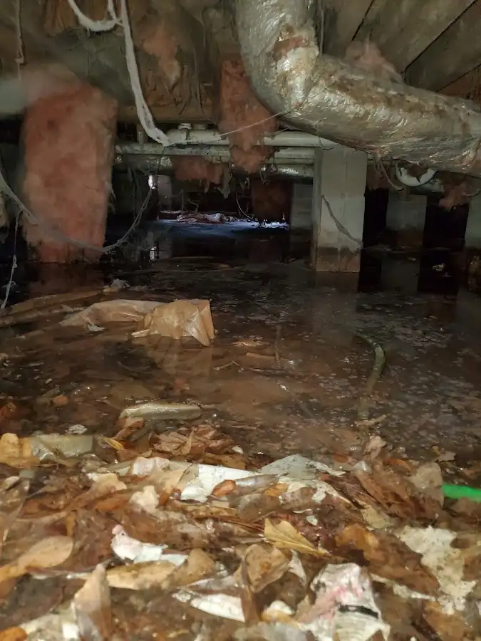 Crawl space flood assessment for Leak Detection & Repair in Polk
